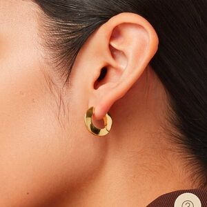 Jenny Bird small Toni Hoop earrings